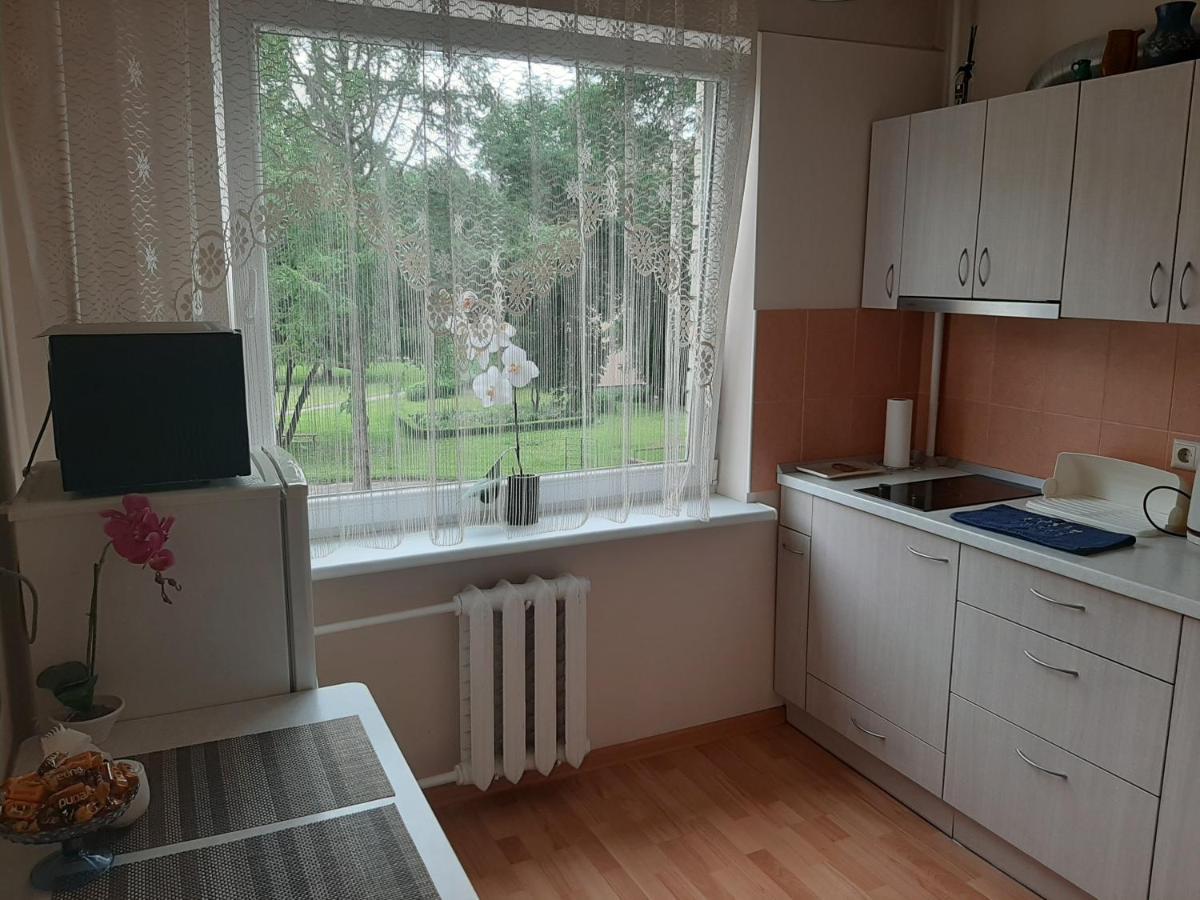 Amber Apartamentai Druskininkai Exterior photo